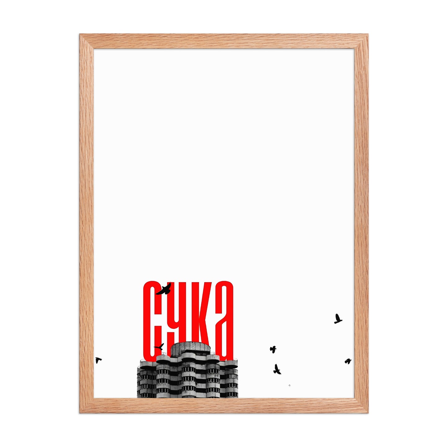 Cyka